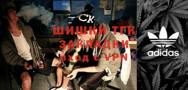 ПСИЛОЦИБИНОВЫЕ ГРИБЫ Михайлов