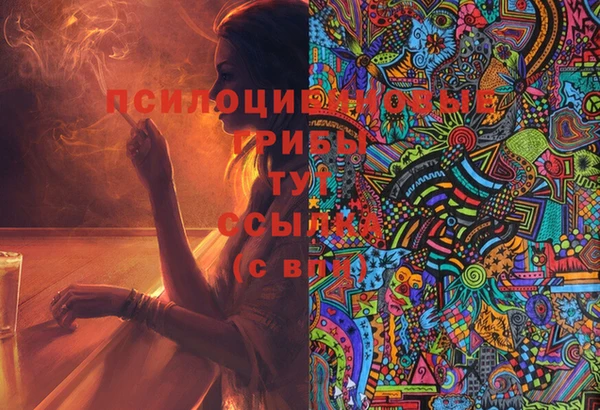 мефедрон Медвежьегорск