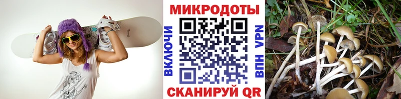 как найти наркотики  Чёрмоз  Галлюциногенные грибы GOLDEN TEACHER 